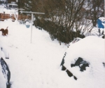 scan-2_0028