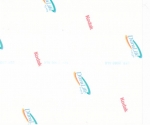 scan-2_0091