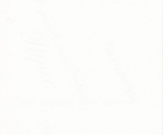 scan_0039