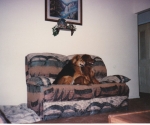 Buddy & Shelby