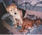 Buddy & Shelby