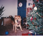 scan_0110