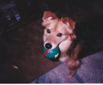 scan_0111