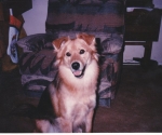 scan_0112