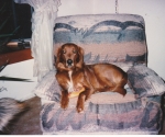 scan_0114