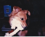 scan_0115