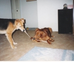 scan_0116