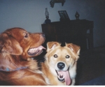 scan_0117