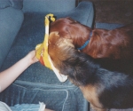 scan_0125