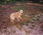 scan_0134