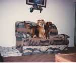 scan_0137