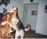 scan_0139