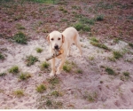 scan_0140
