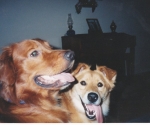 scan_0176