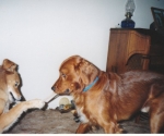 scan_0177