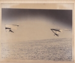 scan_0381